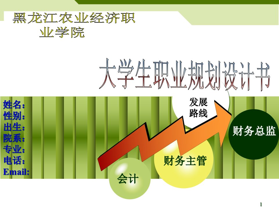 经济职业学院职业生涯规划书范例课件