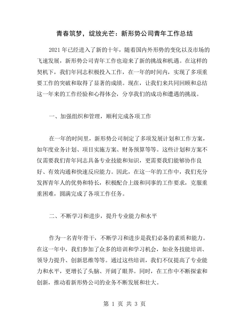 青春筑梦，绽放光芒：新形势公司青年工作总结