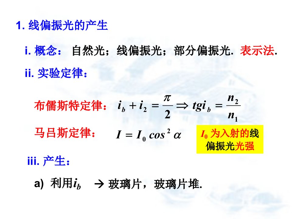 光学复习光的偏振