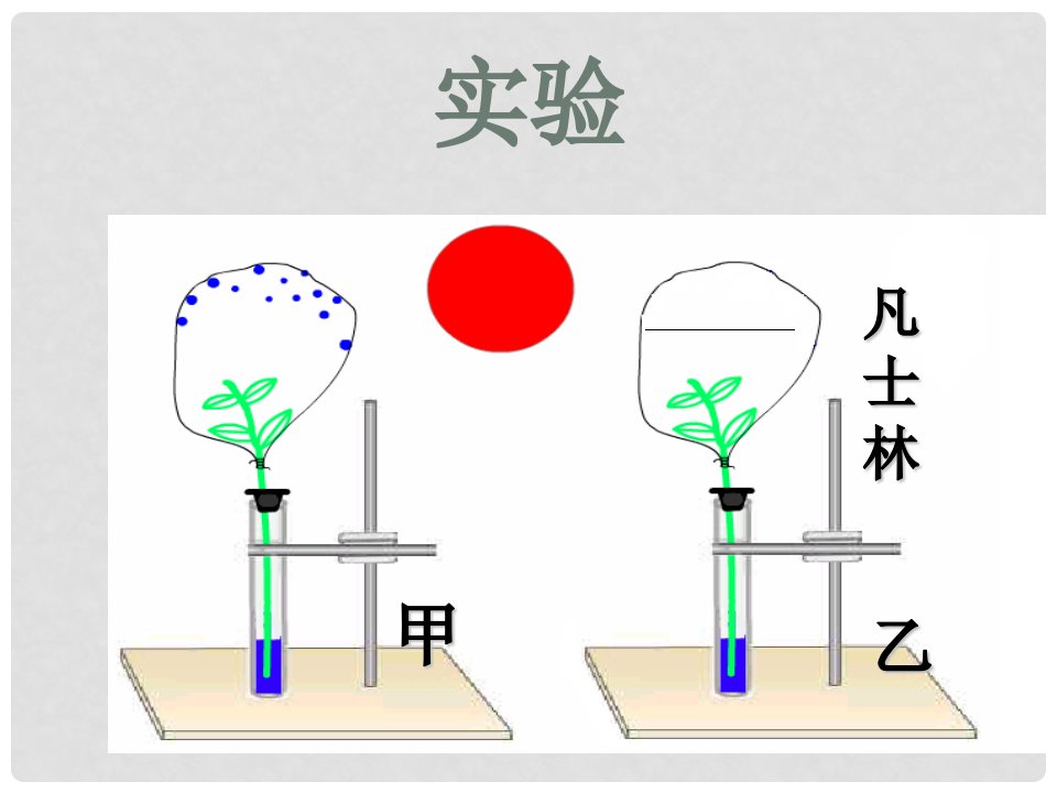 八年级生物上册