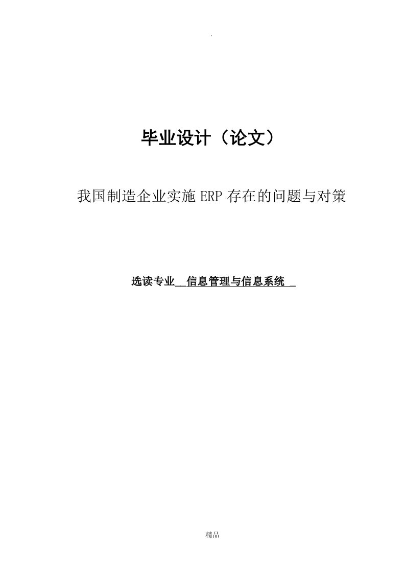 信息管理与信息系统专业毕业论文