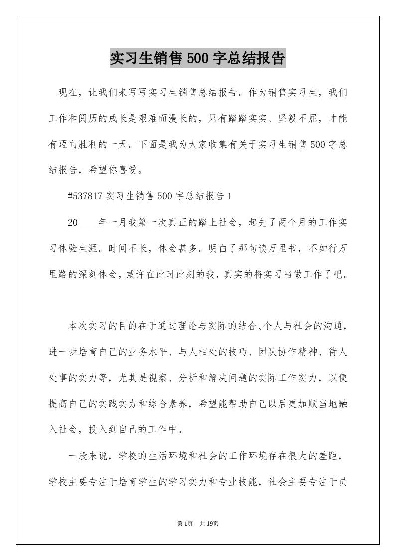 实习生销售500字总结报告