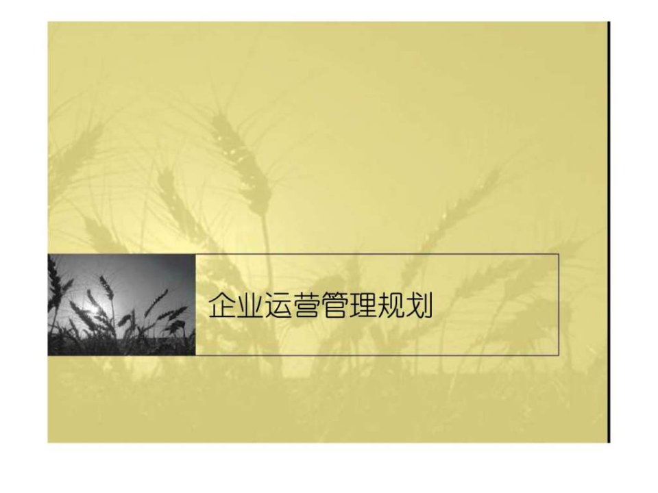 企业运营管理规划