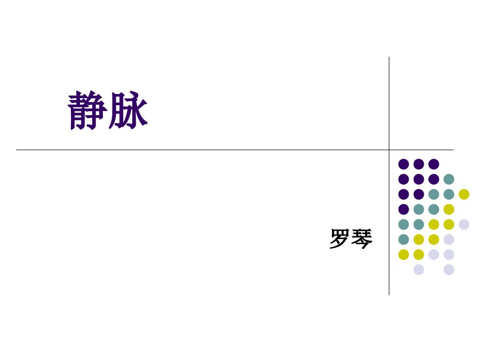 心血管系统静脉