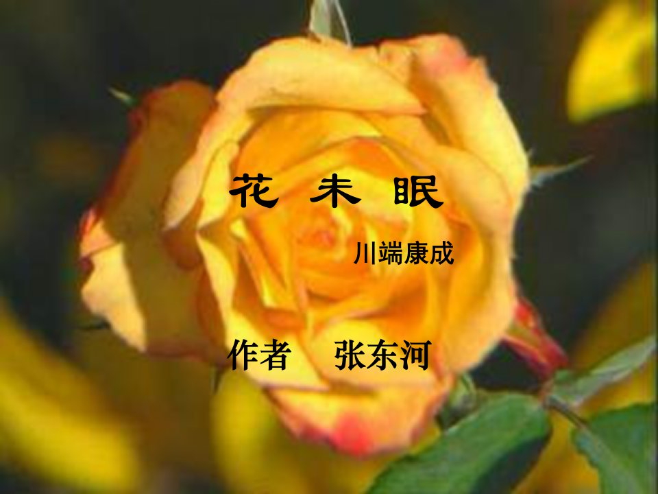 高一语文花未眠