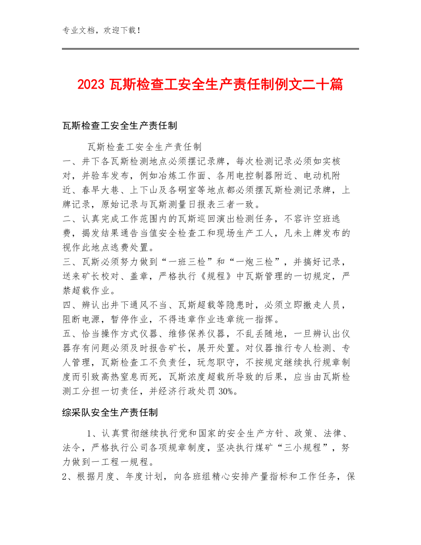 2023瓦斯检查工安全生产责任制例文二十篇