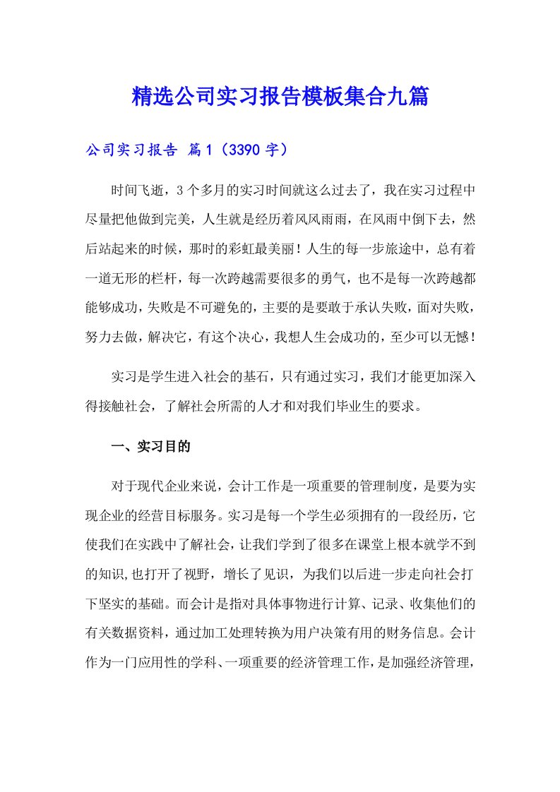 精选公司实习报告模板集合九篇