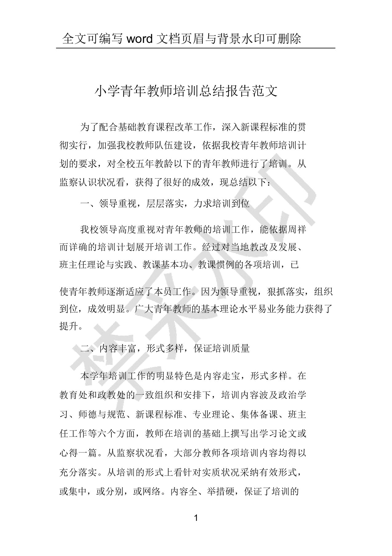 小学青年教师培训总结报告范文