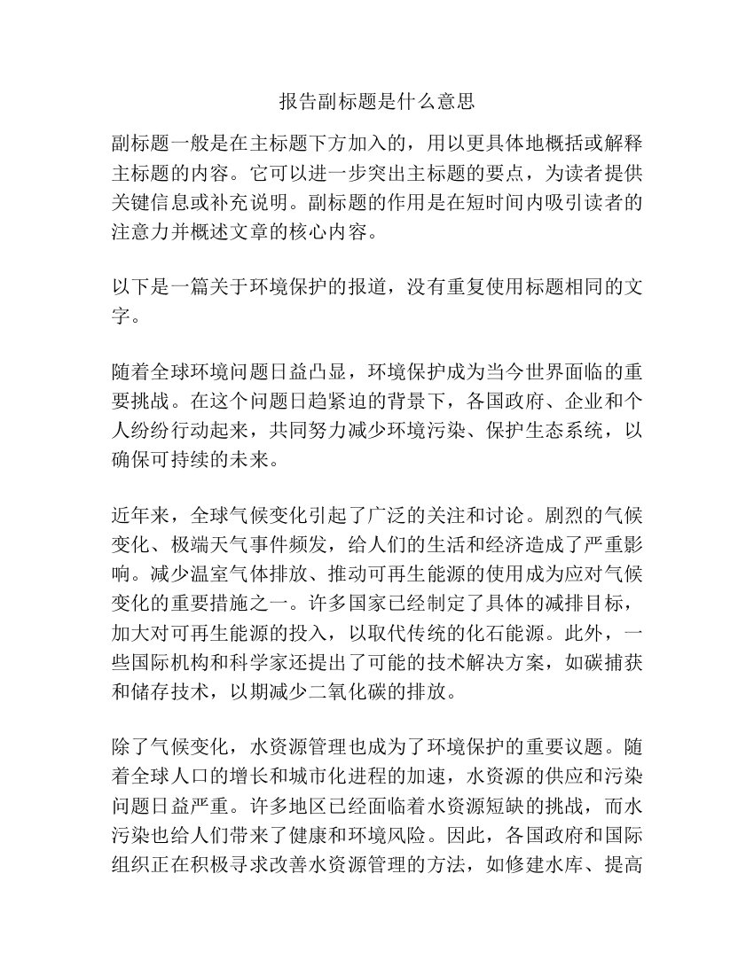 报告副标题是什么意思