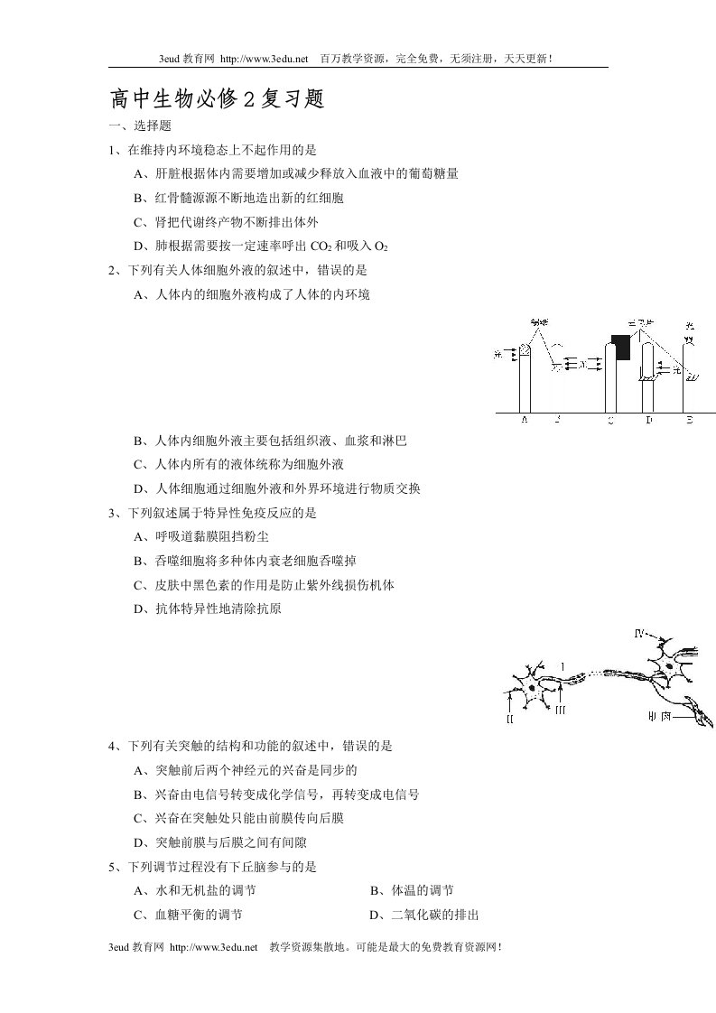 高中生物必修2复习题