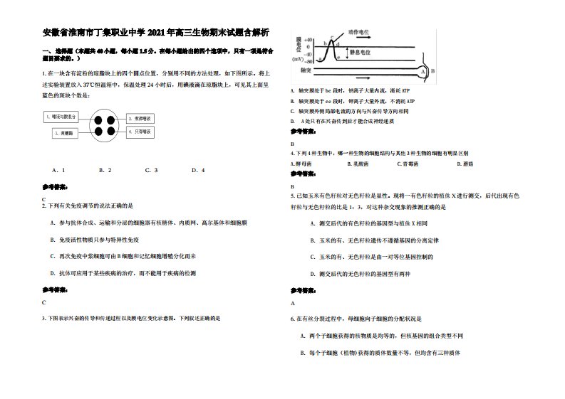 安徽省淮南市丁集职业中学2021年高三生物期末试题含解析