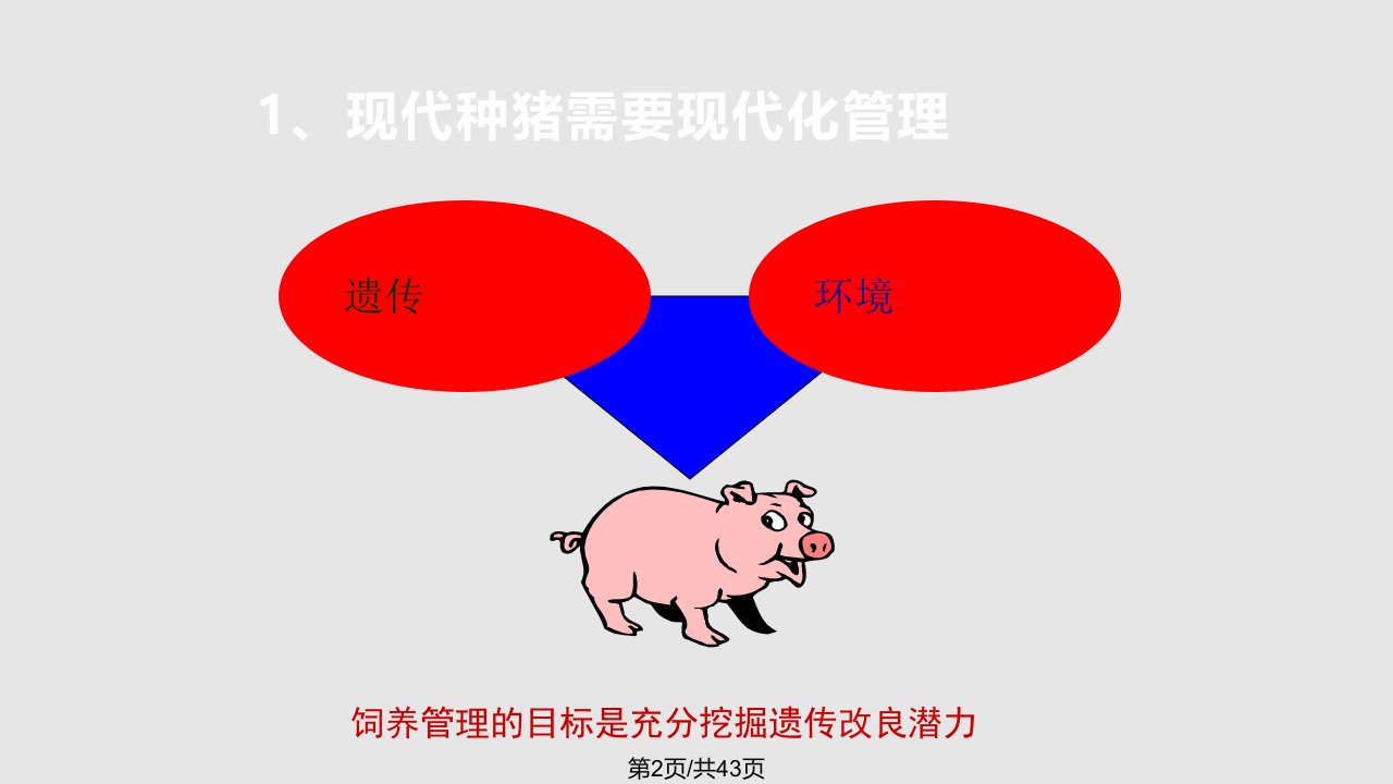 畜牧兽医维生素与种猪繁殖性能