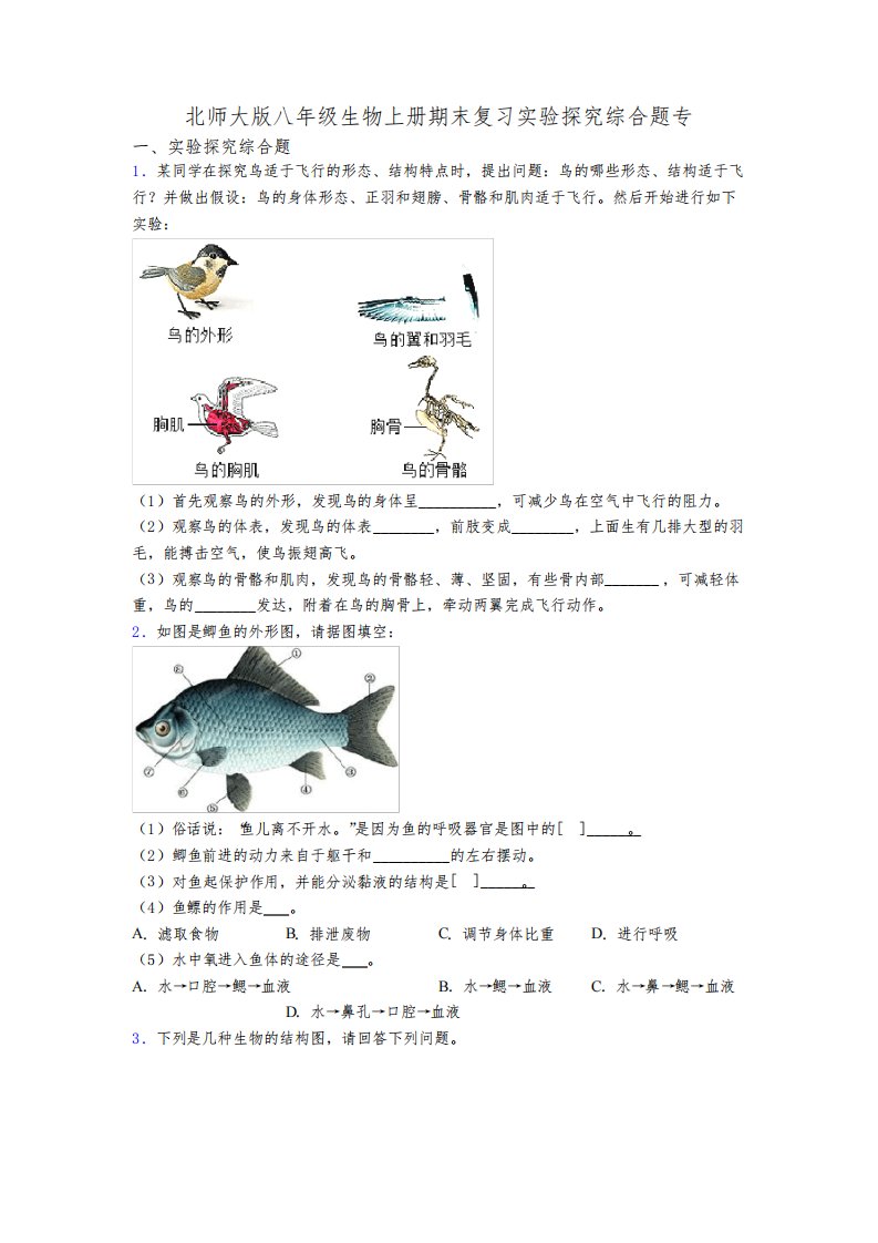 北师大版八年级生物上册期末复习实验探究综合题专