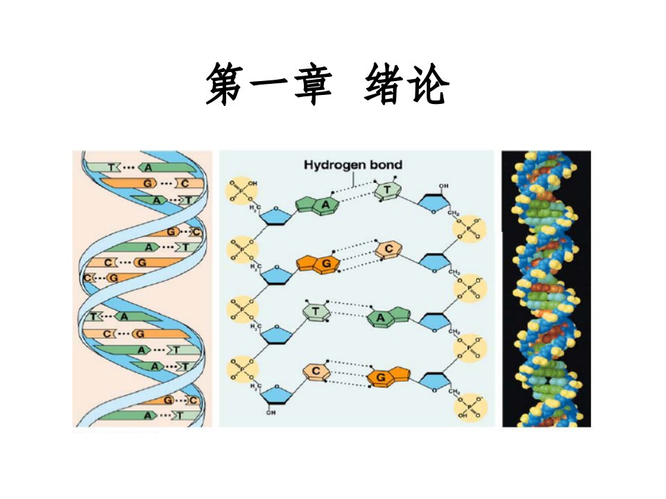 第一讲绪论分子生物学林学专业