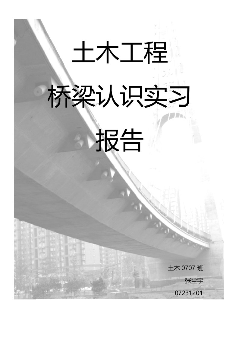 土木工程桥梁认识实习报告