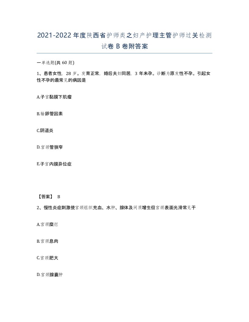 2021-2022年度陕西省护师类之妇产护理主管护师过关检测试卷B卷附答案