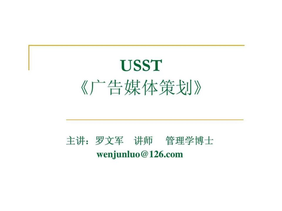 USST广告媒体策划