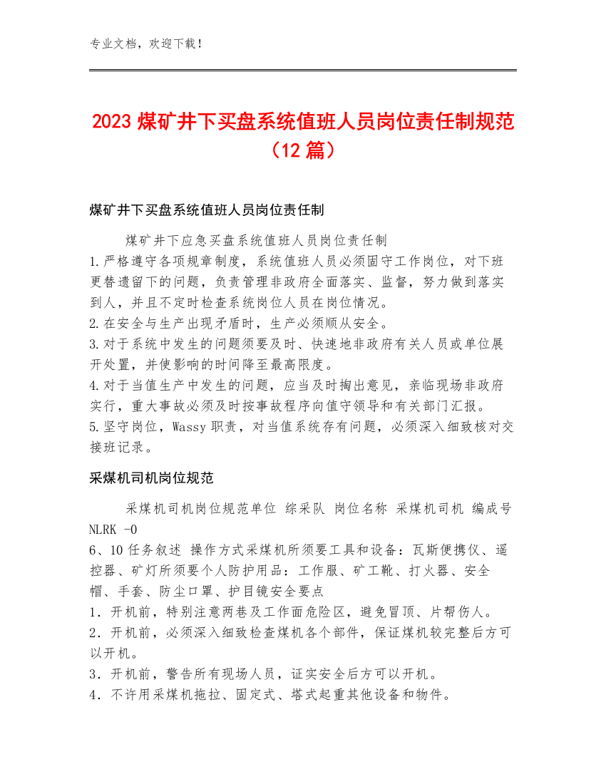 2023煤矿井下买盘系统值班人员岗位责任制规范（12篇）