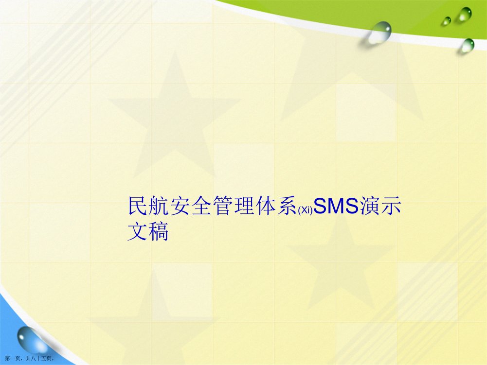 民航安全管理体系SMS演示文稿