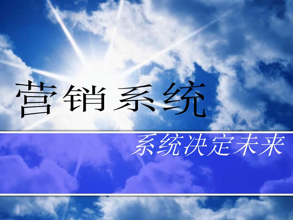 [精选]门店营销系统技巧内部资料杜绝外传