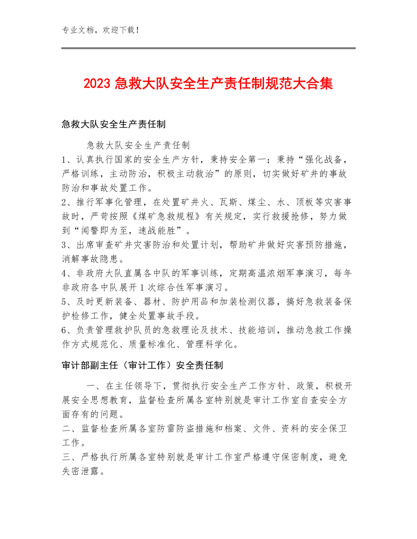 2023急救大队安全生产责任制规范大合集