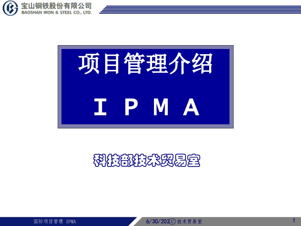 企业项目管理案例分析(ppt