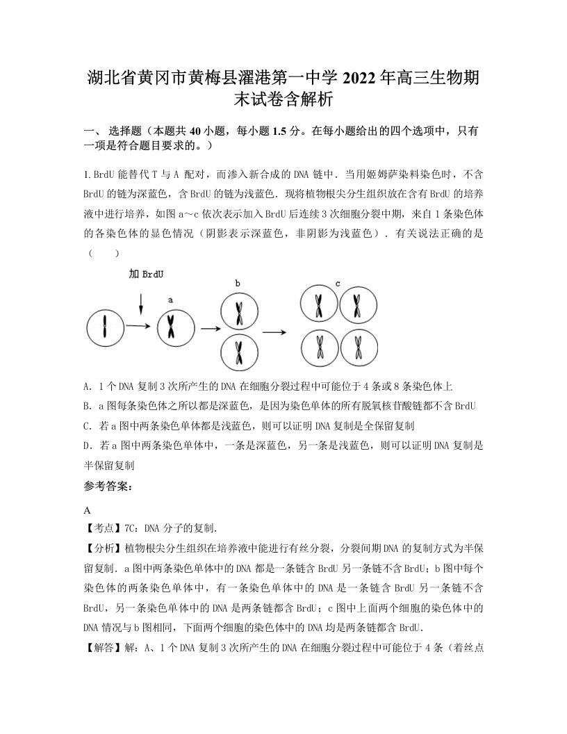 湖北省黄冈市黄梅县濯港第一中学2022年高三生物期末试卷含解析