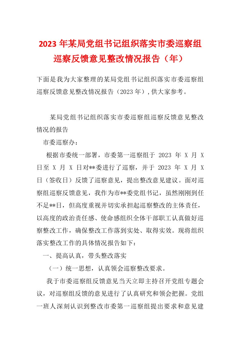 2023年某局党组书记组织落实市委巡察组巡察反馈意见整改情况报告（年）