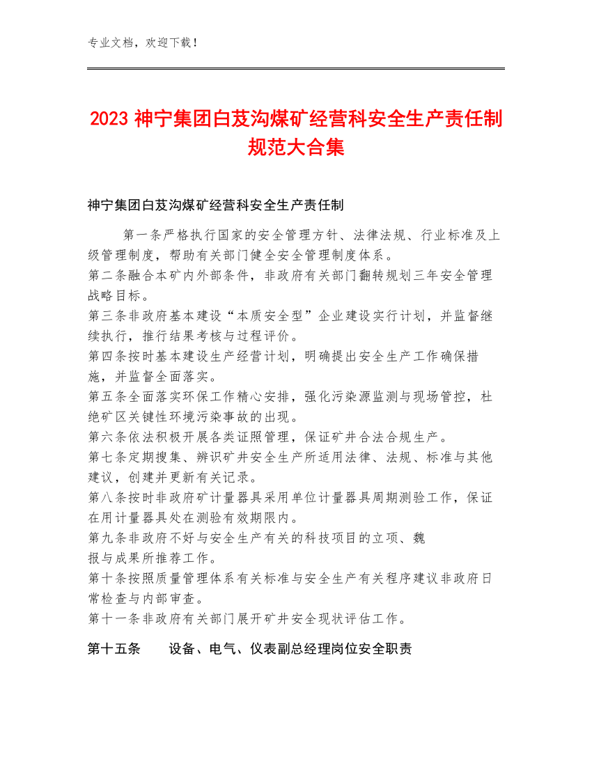 2023神宁集团白芨沟煤矿经营科安全生产责任制规范大合集