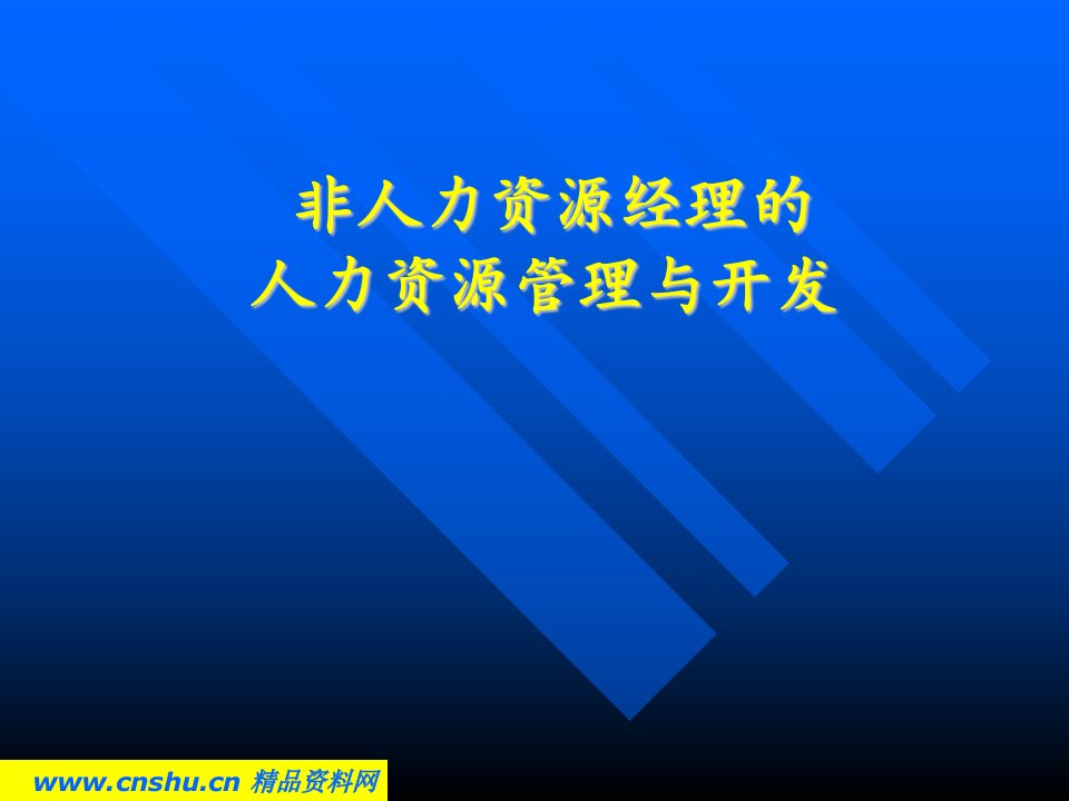 非人力资源经理的HR管理与开发