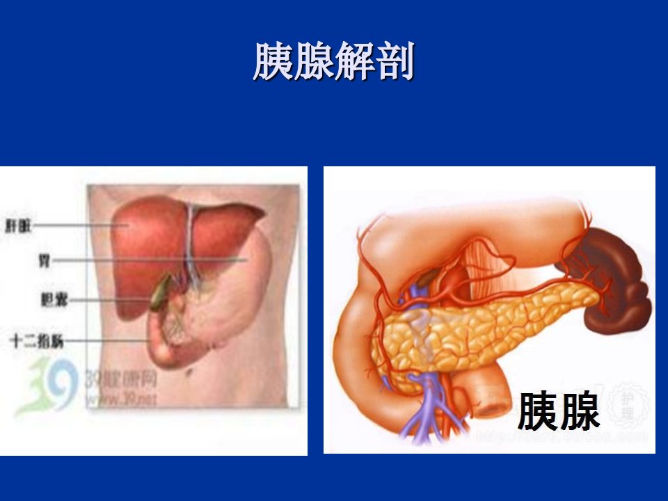 高脂血症性胰腺炎图文知识课件知识讲稿