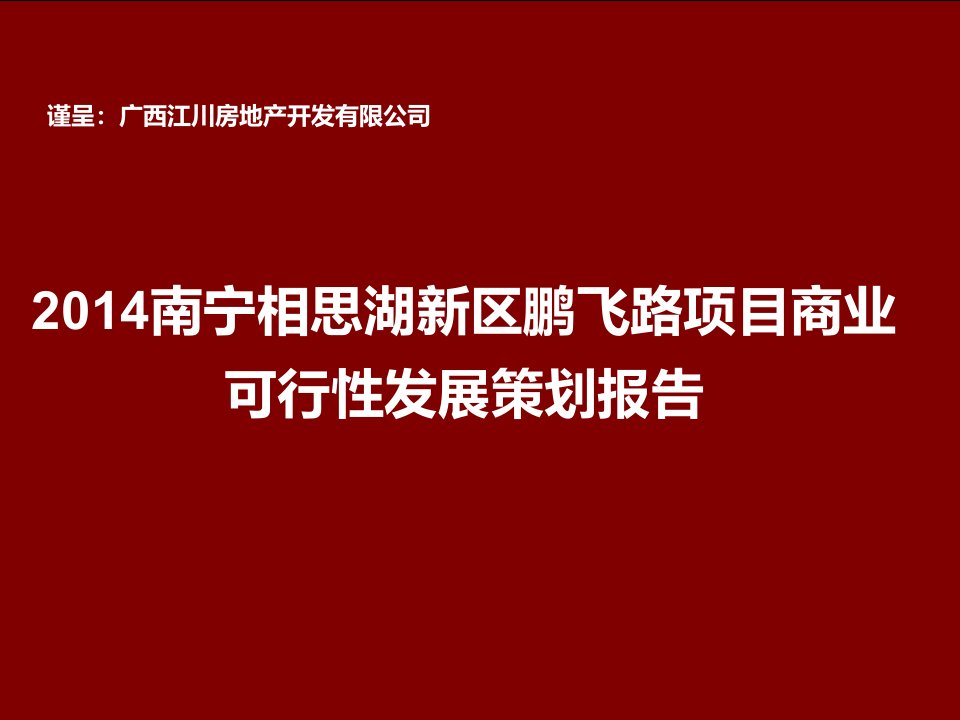 2024南宁相思湖新区鹏飞路项目商业可行性发展策划报告102页