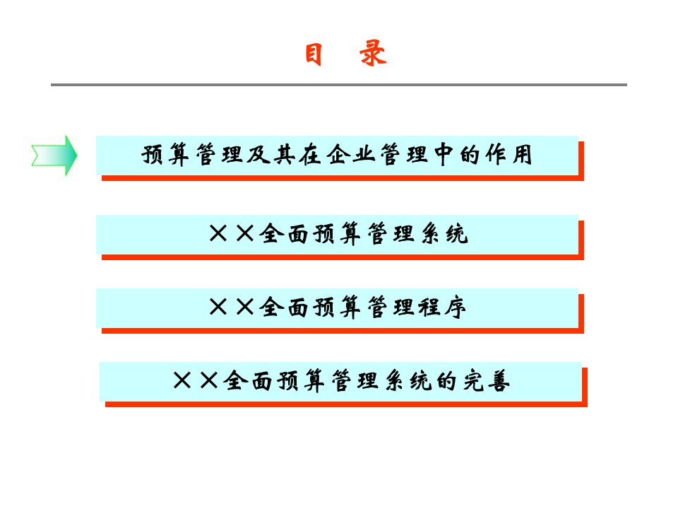 全面预算管理项目PPT课件