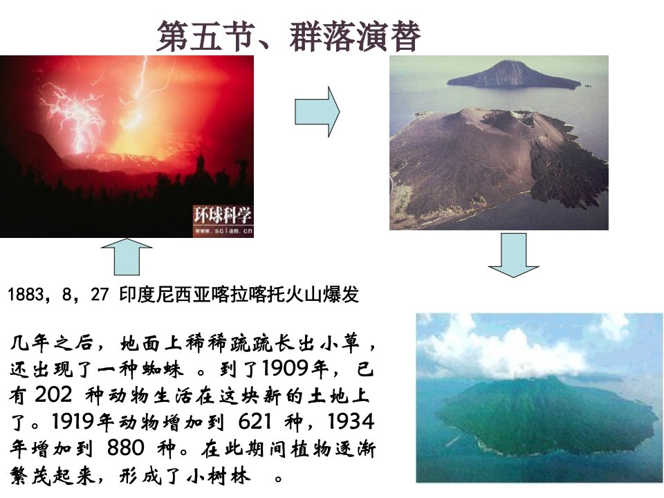 《群落掩体》PPT课件