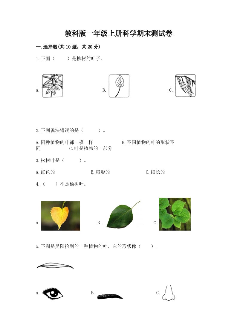 教科版一年级上册科学期末测试卷精品带答案