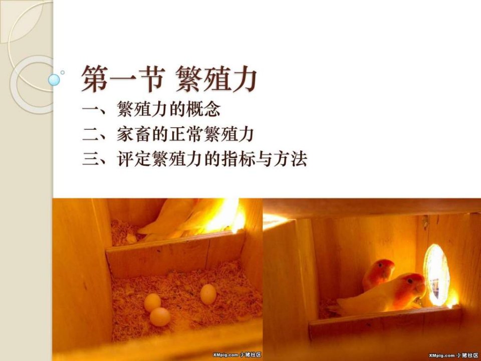 第一节繁殖力.ppt50