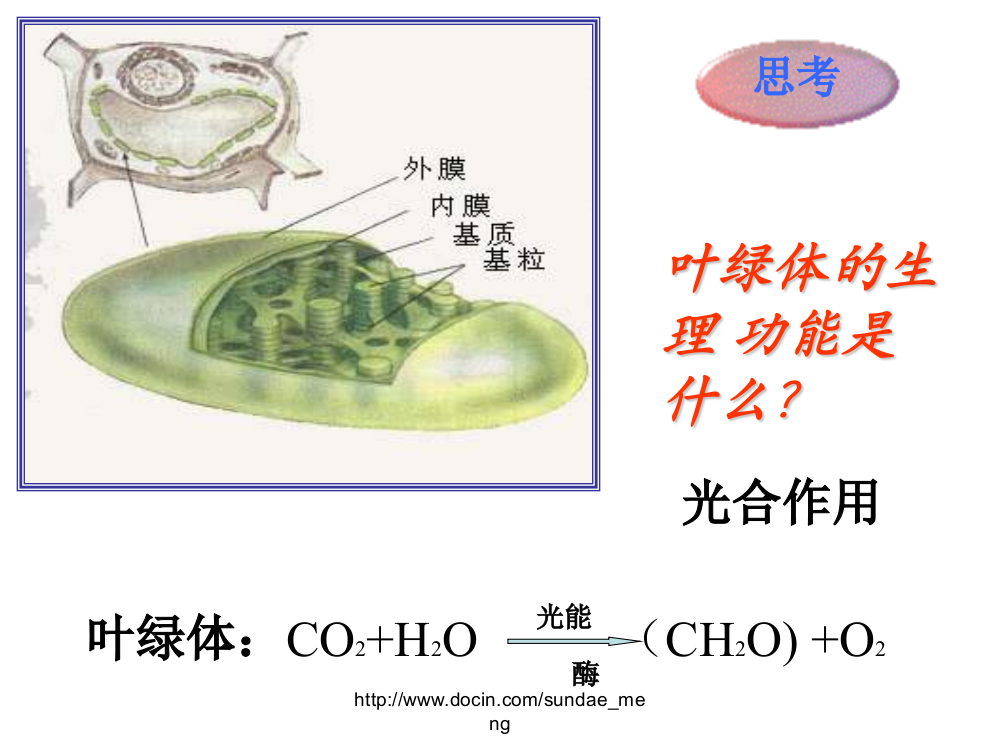 中学细胞的物质代谢