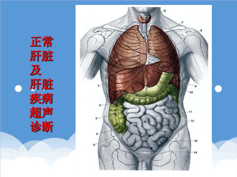 企业诊断-肝脏超声诊断