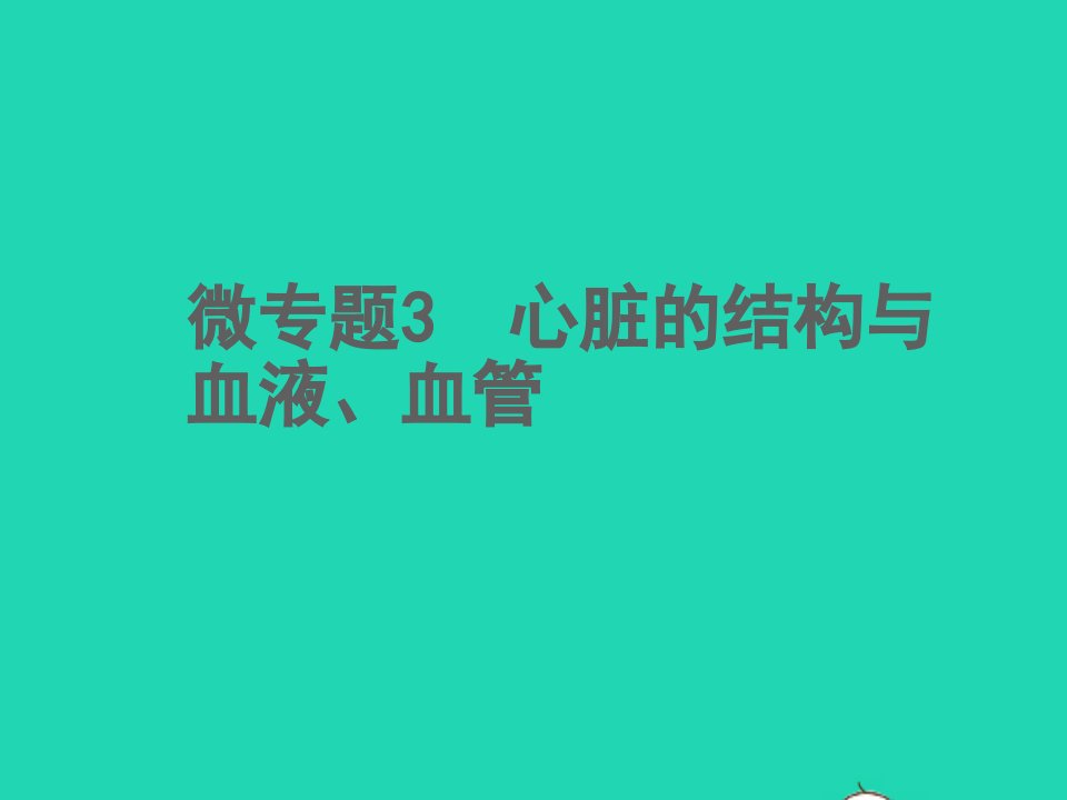 2022中考生物微专题3心脏的结构与血液血管精讲本课件