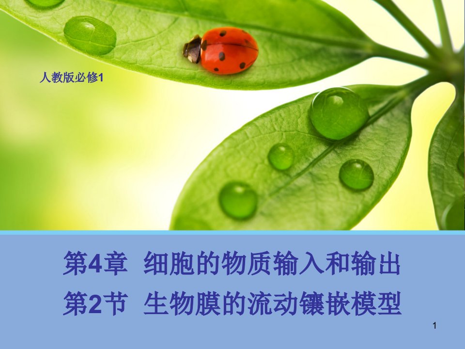 生物膜的流动镶嵌模型-动画版教学ppt课件