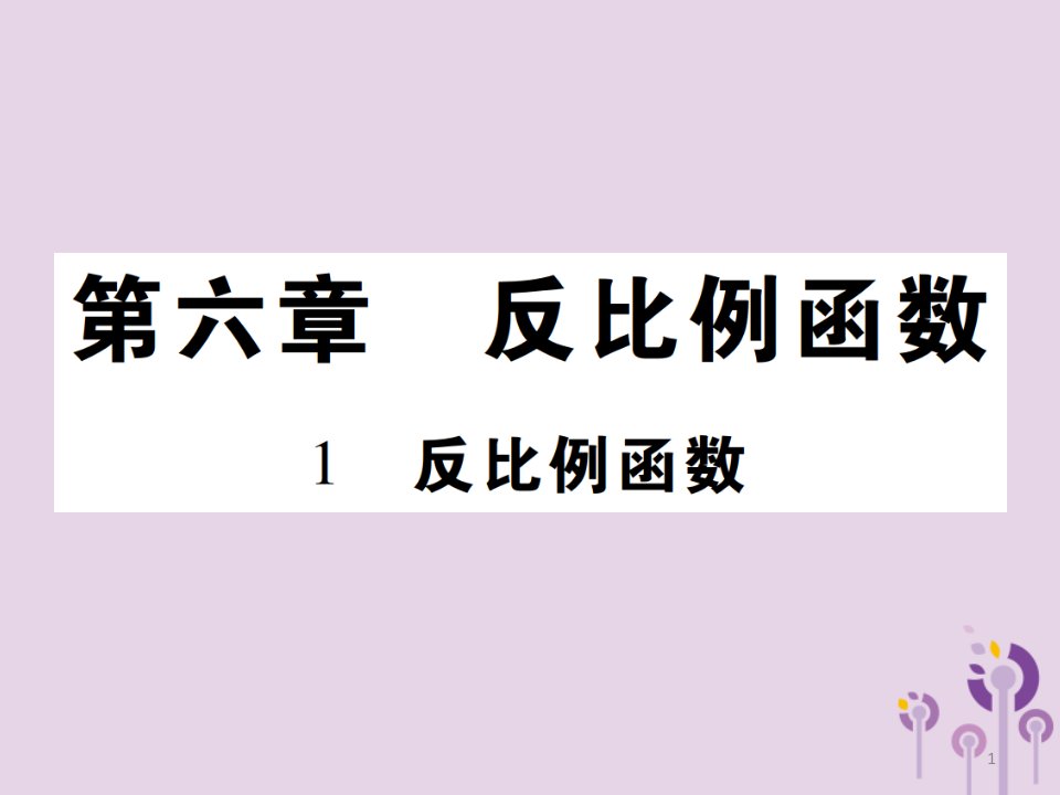 九年级数学上册6《反比例函数》1反比例函数习题ppt课件