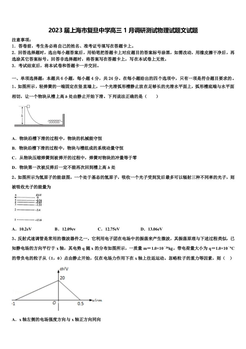 2023届上海市复旦中学高三1月调研测试物理试题文试题