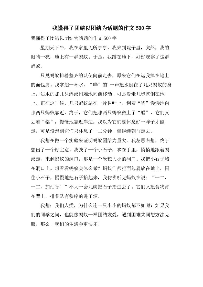 我懂得了团结以团结为话题的作文500字