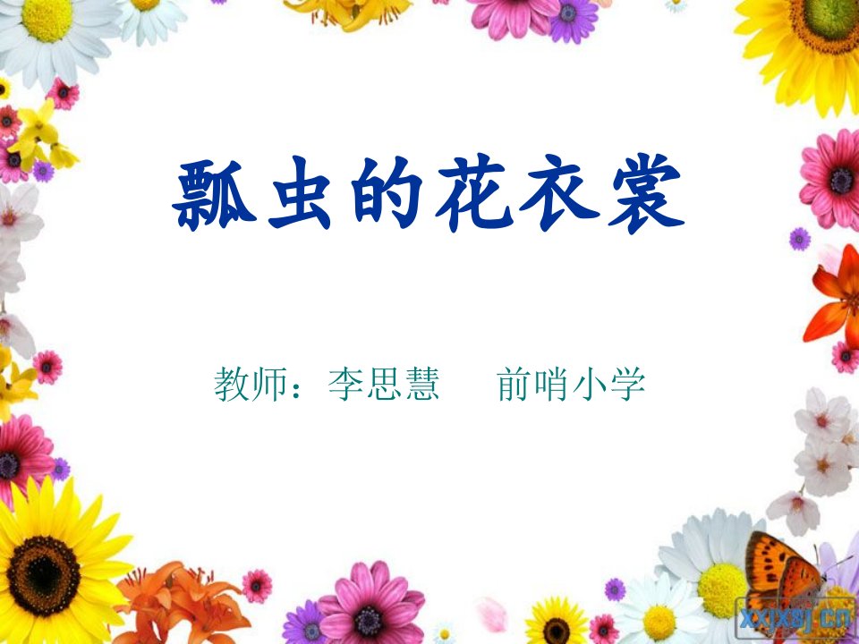 《瓢虫的花衣裳》课件