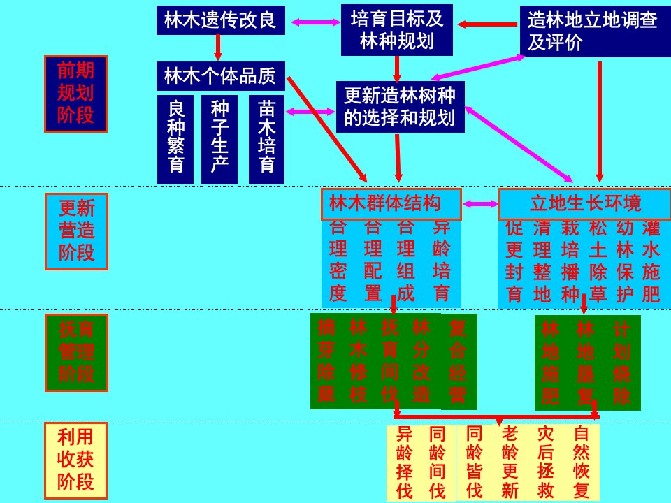 第九章森林抚育基础