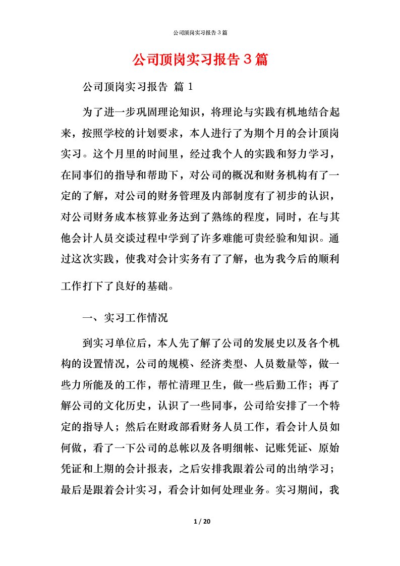 精编公司顶岗实习报告3篇