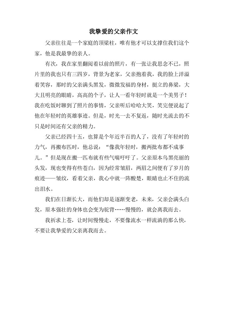 我挚爱的父亲作文