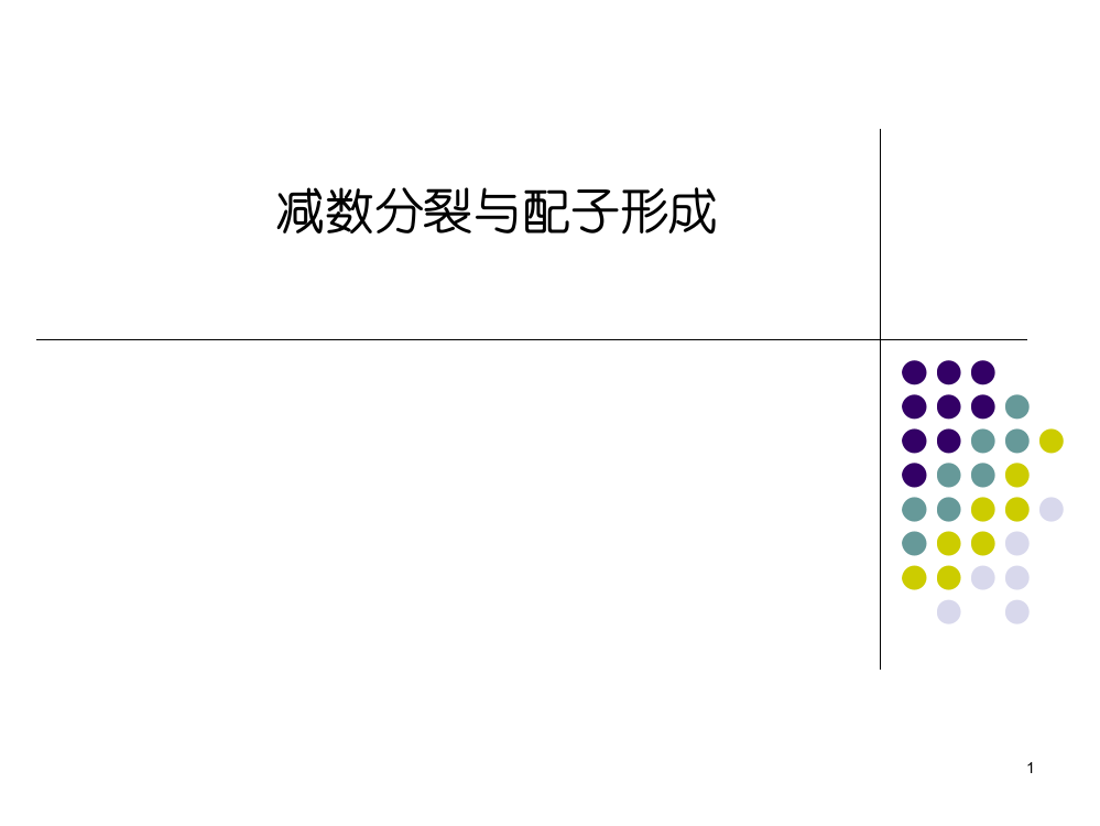 减数分裂受精前一课