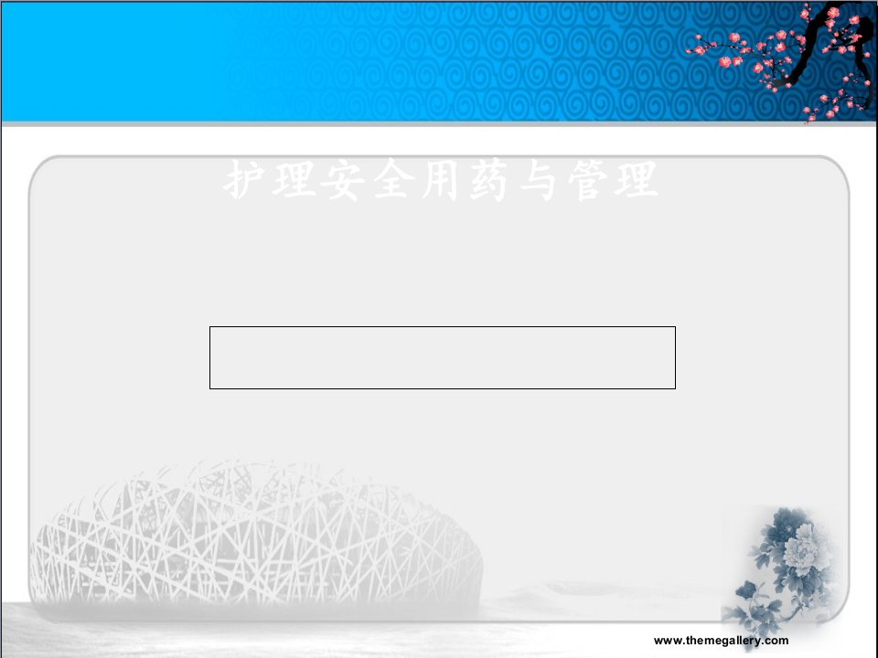 护理用药安全与管理