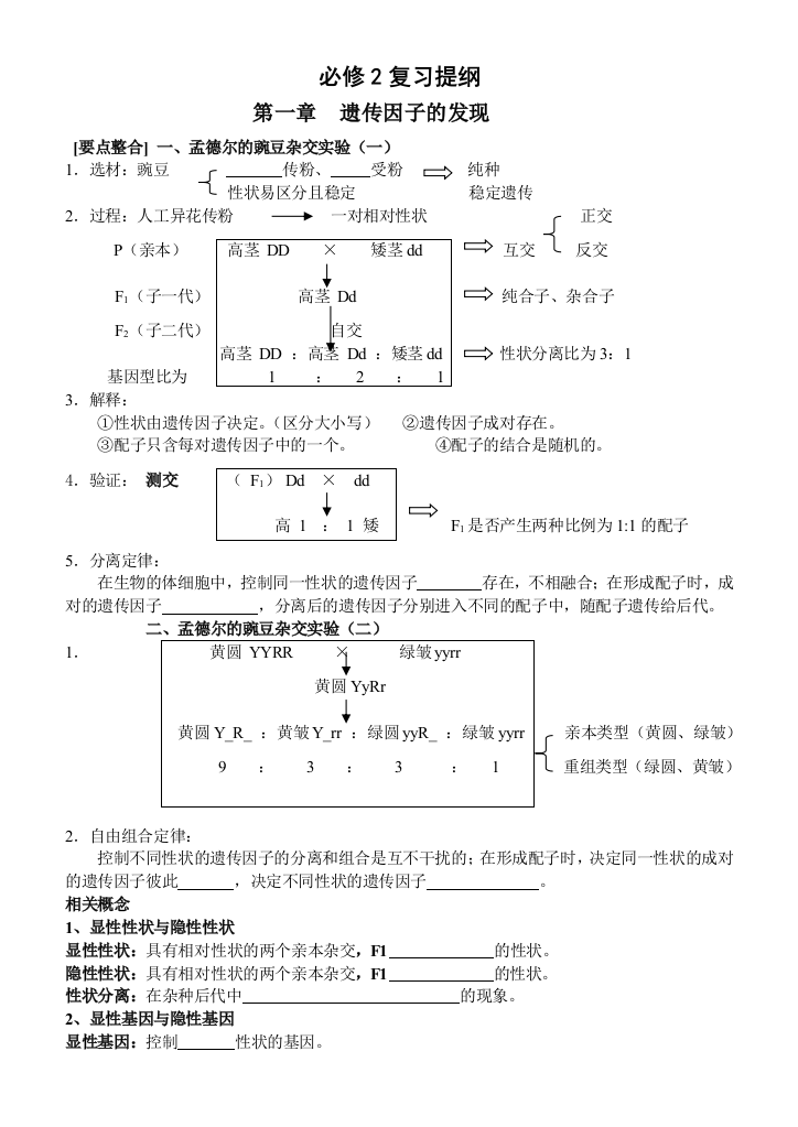 高中生物必修2教案